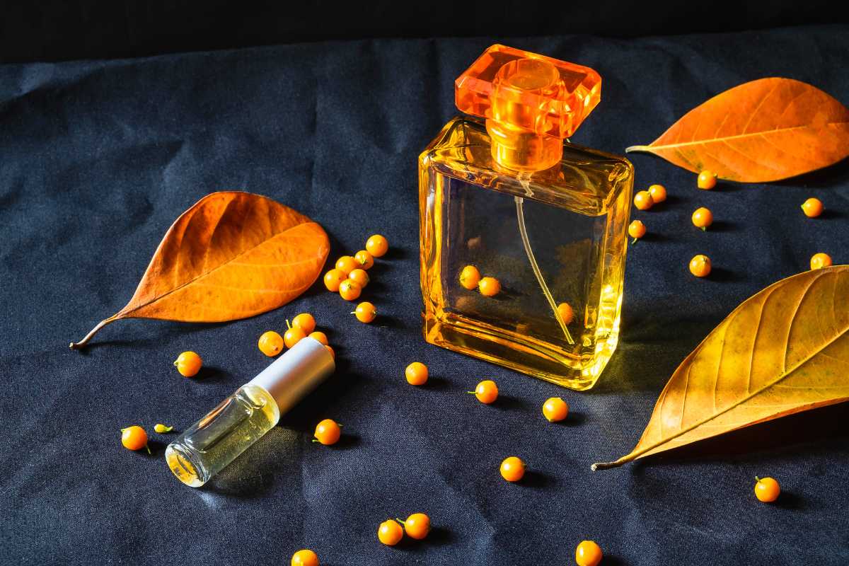 Top 10 Best-Selling Perfumes in Pakistan for Every Budget